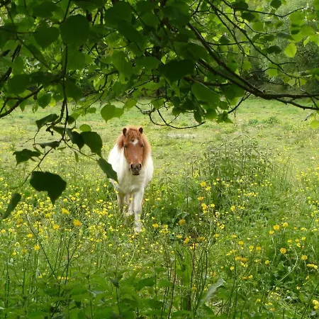 Ferienhaus Maison De Ferme Renovee Avec Cheminee, Terrasse Et Jardin Clos - A 800m Du Bourg De - Fr-1-426-149 Froidfond