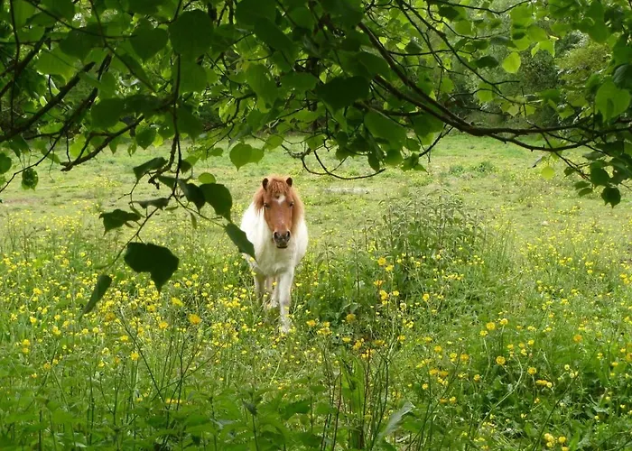 Vakantiehuis Maison De Ferme Renovee Avec Cheminee, Terrasse Et Jardin Clos - A 800m Du Bourg De - Fr-1-426-149 Froidfond